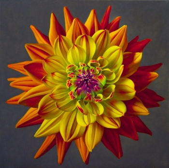 Jane Willis Taylor